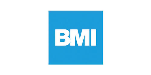 BMI group